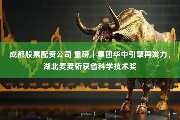 成都股票配资公司 重磅｜集团华中引擎再发力，湖北麦麦斩获省科学技术奖